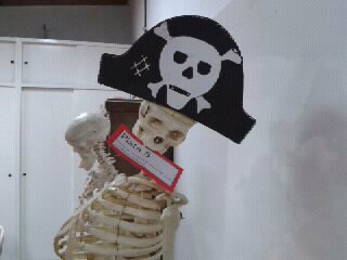 jornada de juegos